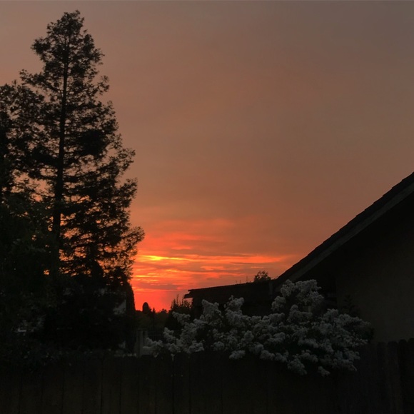 Meet your Posher, Mia - Picture 1 of 1